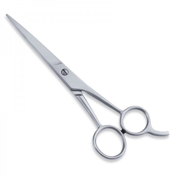 Economy Hair Scissors