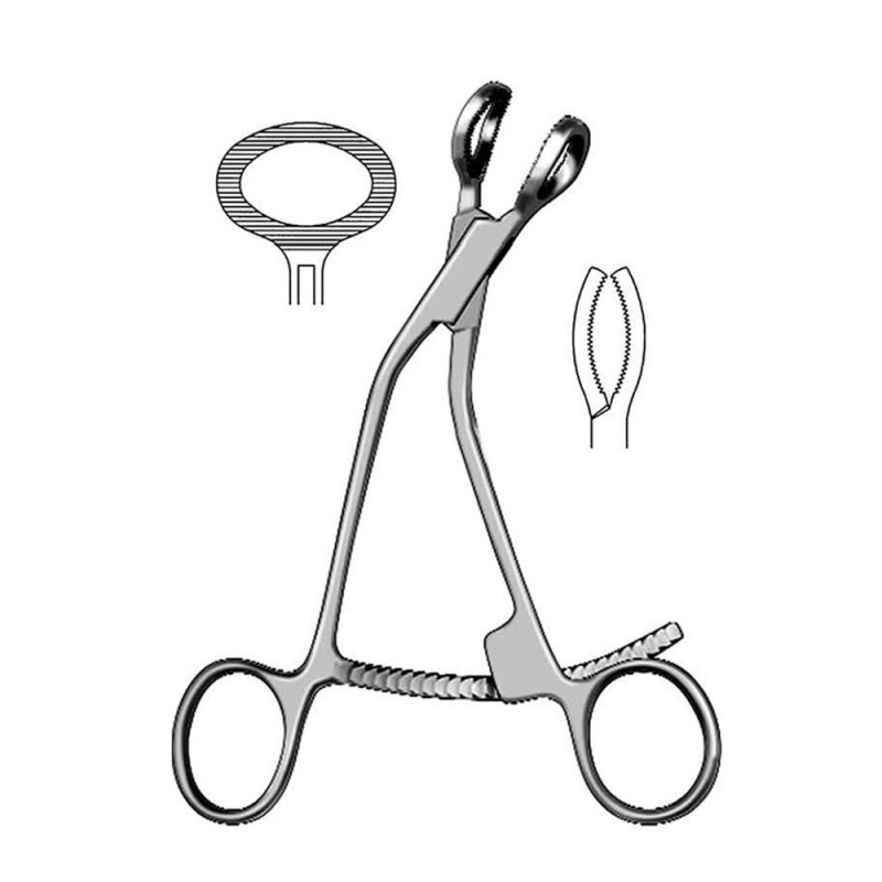 Bishop Bone Holding Forceps