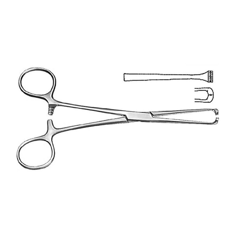 Steinmann Tendon Holding Forceps