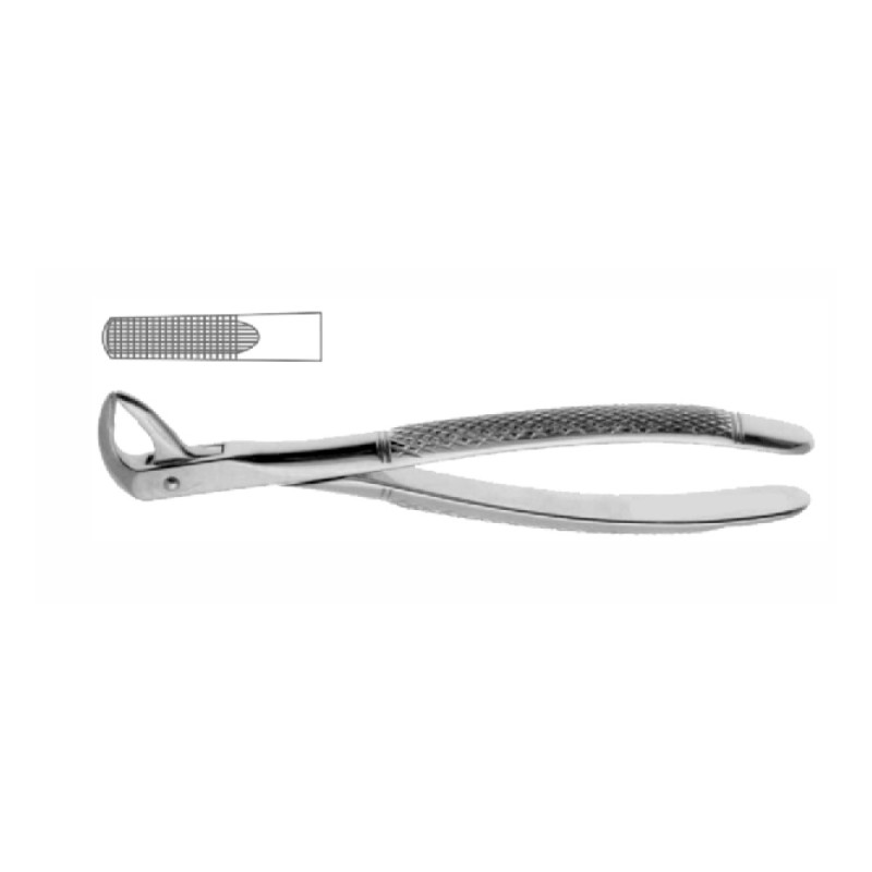 LOWER PRE-MOLAR FOR CHILDREN EGNLISH PATTERN