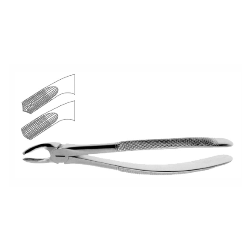 LOWER THIRD MOLAR EGNLISH PATTERN