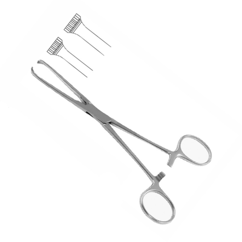 ALLIS TISSUE FORCEPS
