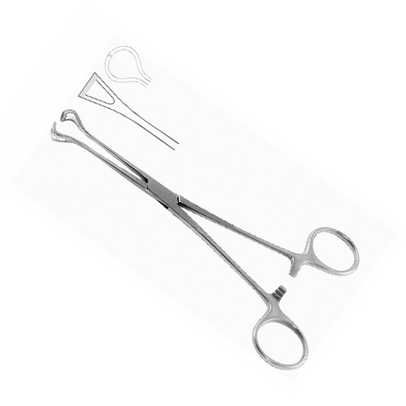 BABCOCK FORCEPS