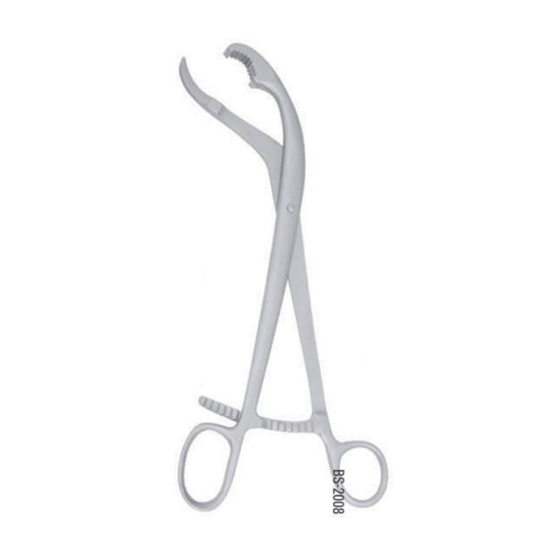 Bone Holding Forceps (Verbrugge)