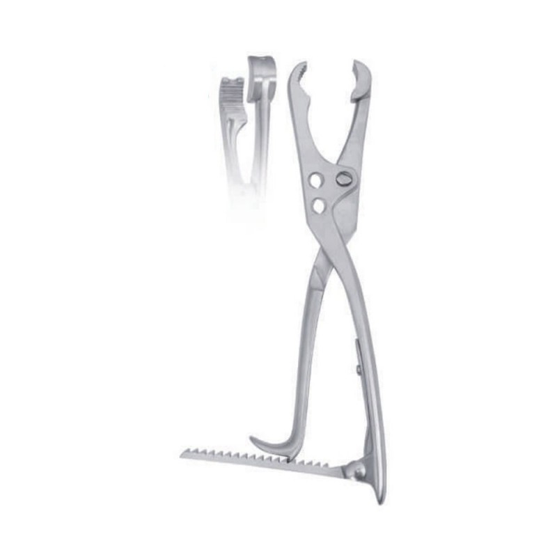 Bone Holding Forceps (Lambotte)
