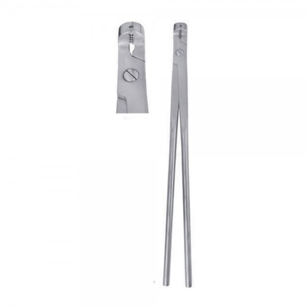 Molar Forceps