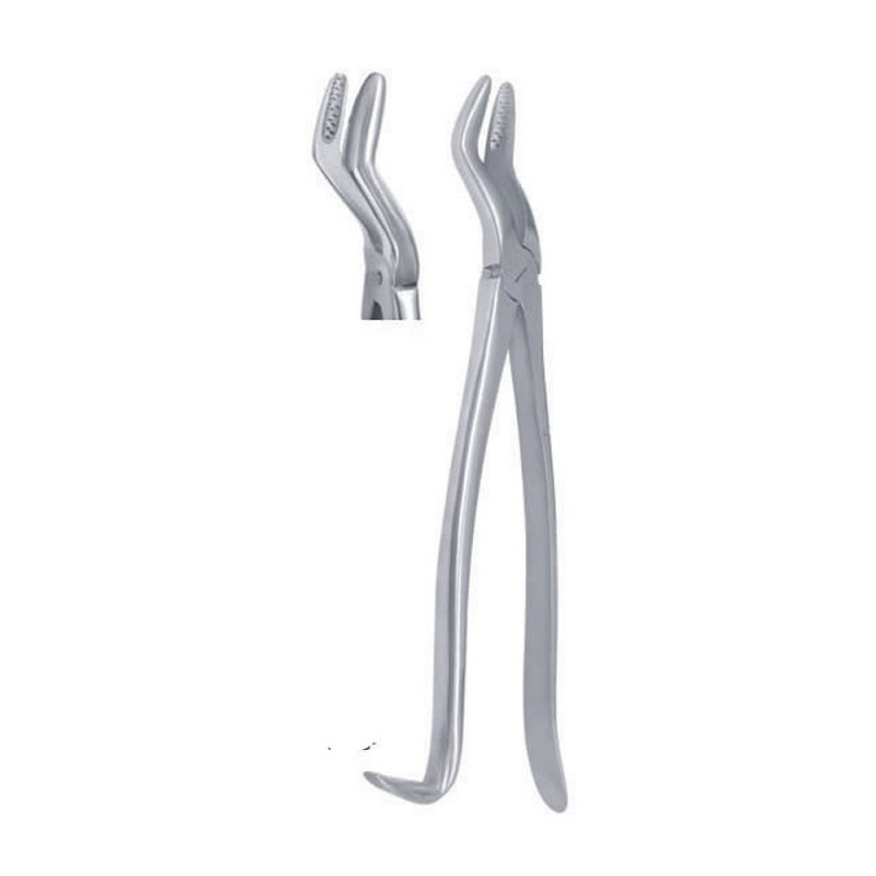 Wolf Tooth Forceps