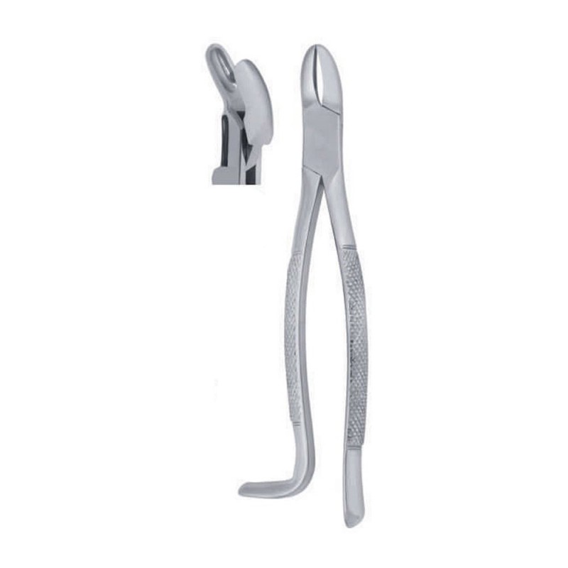 Wolf Tooth Forceps/Extracting Forceps