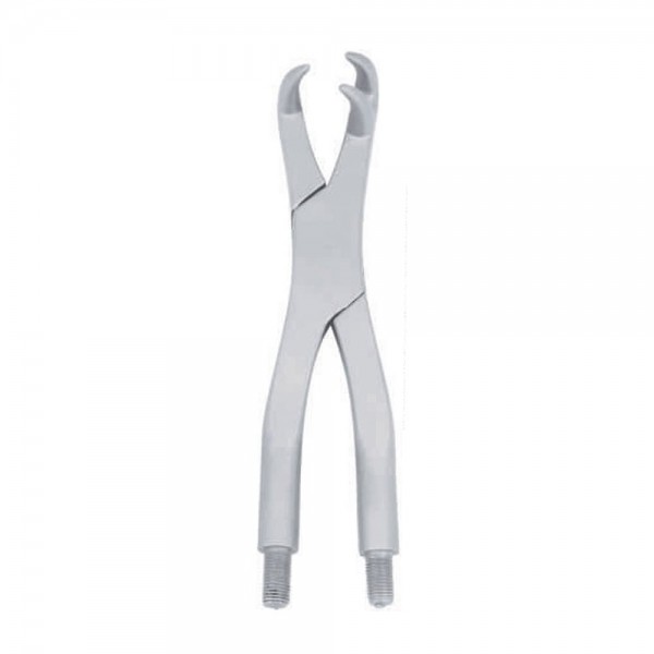 3 Root Box Joint Forceps Off Side
