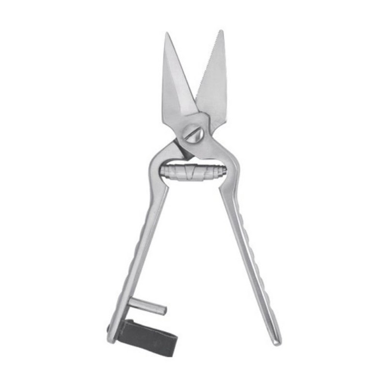 Foot Rot Hoof Shear Plane