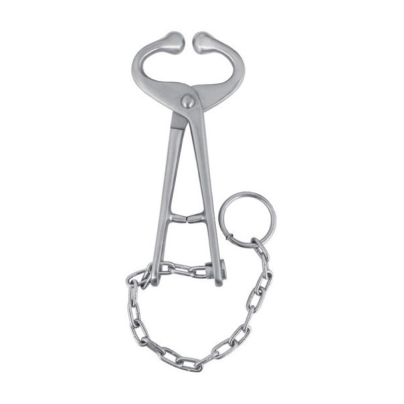 Bull Lead With Chain