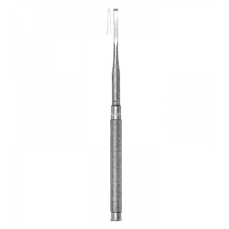 BONE CHISELS